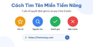Cách Tìm Tên Miền Tiềm Năng Để Đầu Tư: 7 Yếu Tố Và Quy Trình 5 Bước