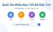 Đuôi Tên Miền Nào Tốt Để Đầu Tư: So Sánh .com, .vn, .net, .org, .io, .ai