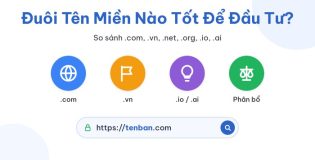 Đuôi Tên Miền Nào Tốt Để Đầu Tư: So Sánh .com, .vn, .net, .org, .io, .ai