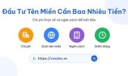 Đầu tư tên miền cần bao nhiêu tiền để bắt đầu
