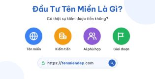 Đầu tư tên miền là gì? Có thật sự kiếm được tiền không