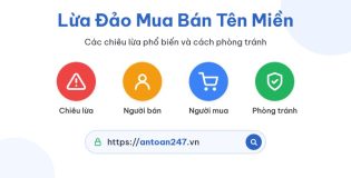 Lừa đảo mua bán tên miền: các chiêu phổ biến và cách phòng tránh